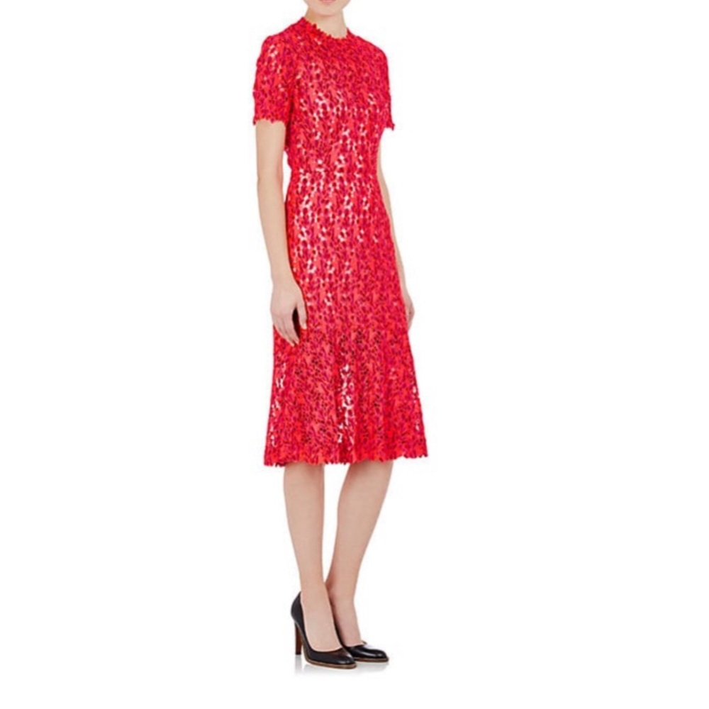 Gabriela Hearst Lace Dress (Designer dress)